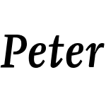 Peter Schmidt Serif