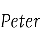 Peter Schmidt Serif