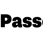 Passenger Sans