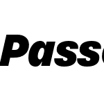 Passenger Sans