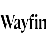 Wayfinder CF