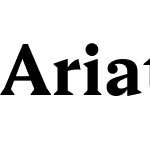 Ariata Text