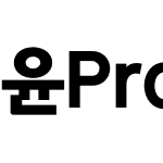 윤Pro돋움100