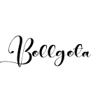 Bollgota