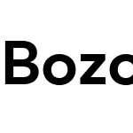 Bozon