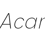 Acari Sans Neue