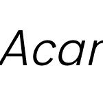 Acari Sans Neue