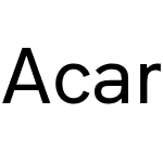 Acari Sans Neue