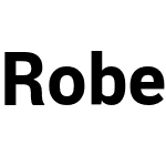 Robert Sans