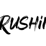 Rushink DEMO