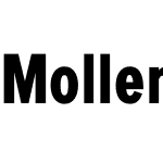 Mollen Personal Use