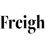 FreightBigCmp Pro Bold