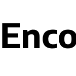 Encode Sans