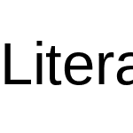 LiterationSans Nerd Font