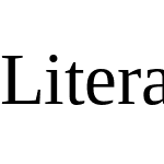 LiterationSerif Nerd Font