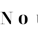 NotoSerifDisplay Nerd Font Mono