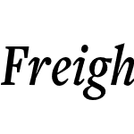 FreightTextCmp Pro Semibold