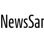 NewsSans