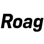 Roag-BoldItalic