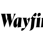 Wayfinder CF