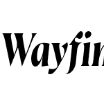 Wayfinder CF