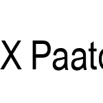 X Paatch