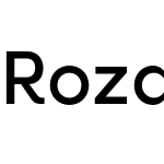 Rozanova GEO - Demo