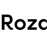 Rozanova GEO