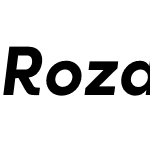 Rozanova HUM