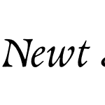 Newt Serif Cyrillic