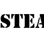 Steamer