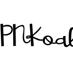PN Koalition