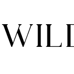 Wild and Folk Font