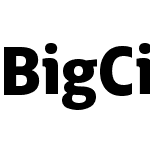 BigCity Grotesque Pro