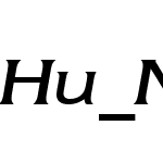 Hu_Newtext Regular BT Italic