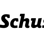 Schuss Slab Pro