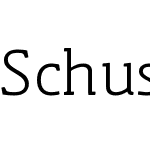 Schuss Slab Pro