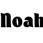 Noah Upper Lower