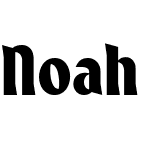 Noah Upper Lower