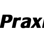 Praxis LT Pro