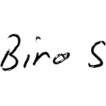 Biro Script Plus