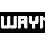 WAYNER-Inverse