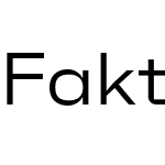 Faktum Test