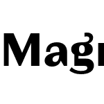 Magnat Test