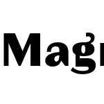 Magnat Test