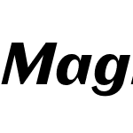 Magnat Test