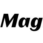 Magnat Test