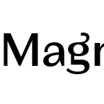 Magnat Test