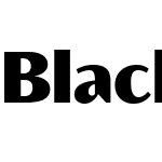 Blacker Sans Text