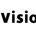 Vision